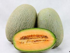 银杏和哈密瓜能一起吃吗,探究两者同食的适宜性