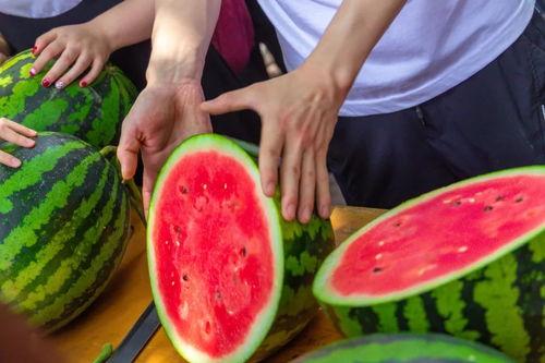 大学和朋友吃瓜,与好友共度吃瓜欢乐时光