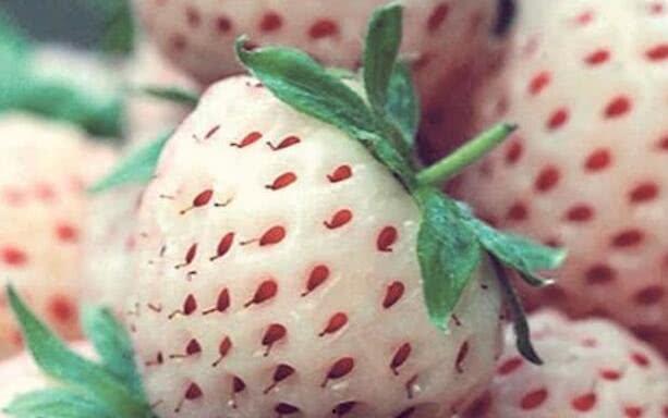 美式出轨吃瓜,揭秘明星私生活背后的真相