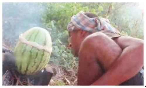 再看看雌雄 吃瓜