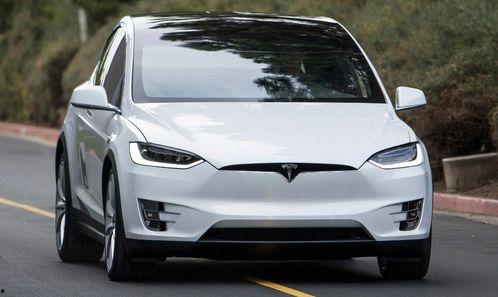 特斯拉蹲着吃瓜视频