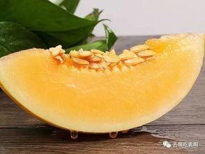 月经吃沙漠蜜瓜