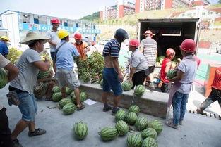 建材吃瓜群众,吃瓜群众眼中的行业变迁
